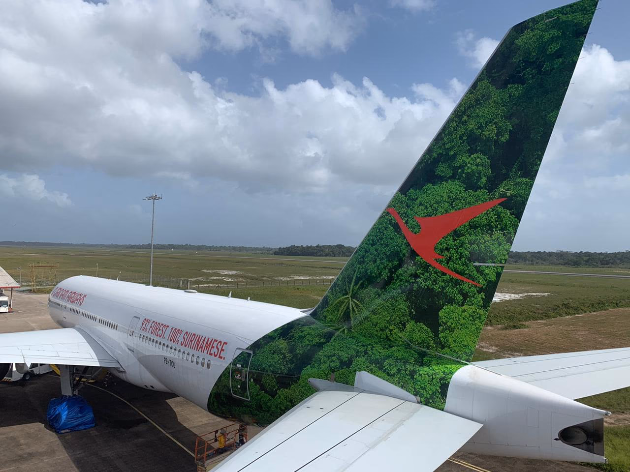 A Surinam Airways aircraft tail painted with the FOREST93 rainforest livery