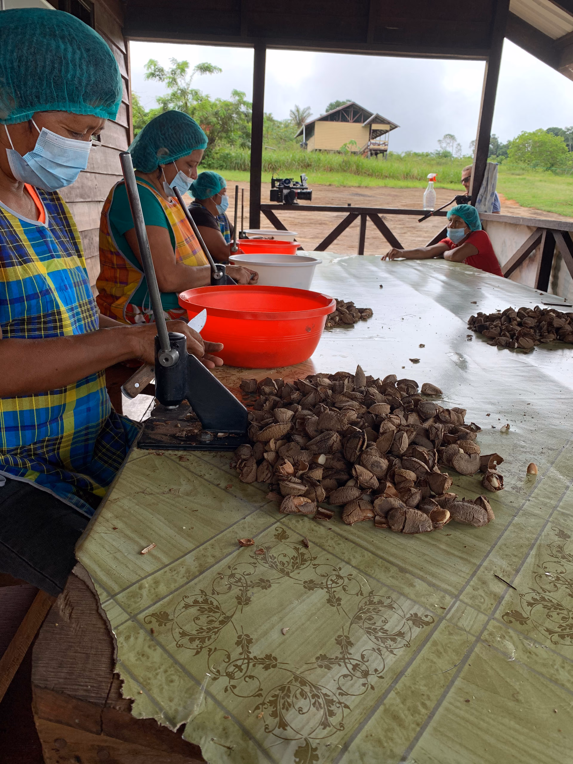 Women cracking Brazil nuts by hand at the Tuhka facility in Alalapadu